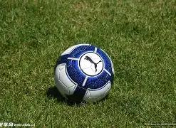 曼城争抢布,莱顿边锋三,笘薰,亚博体育,亚博体育官网,亚博体育app,亚博体育下载