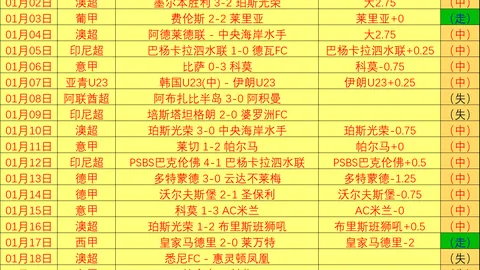 湖人 vs 灰熊：巅峰对决：关键球员、身材对比与速度之战